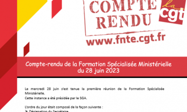 CR et DL de la Formation Spécialisée Ministérielle du 28 juin 2023.